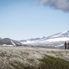 015_Dovrefjell_Eindruecke_03