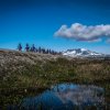 015_Dovrefjell_Eindruecke_04